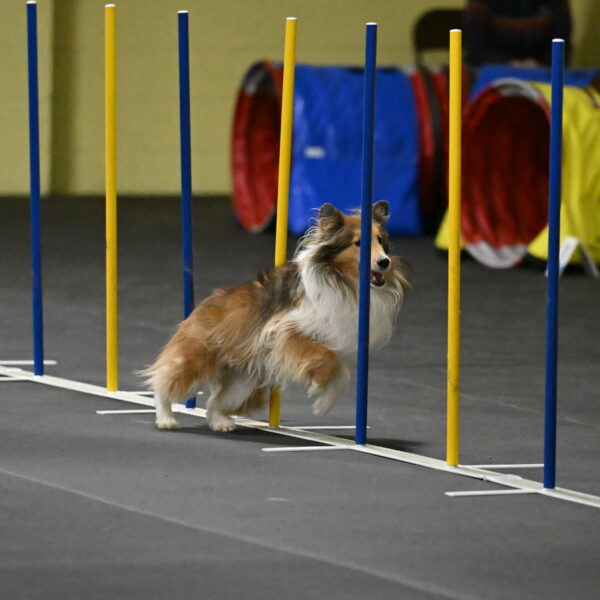 Bailey-Schmauder-01347