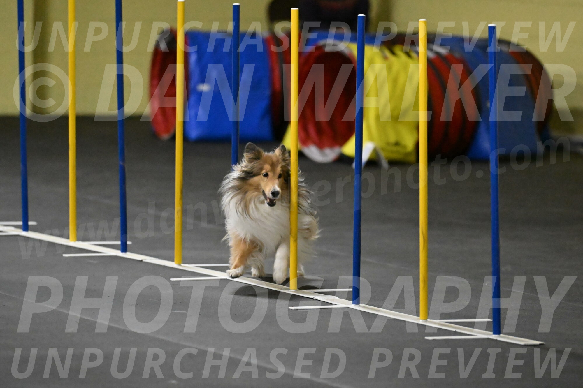 Bailey-Schmauder-01351