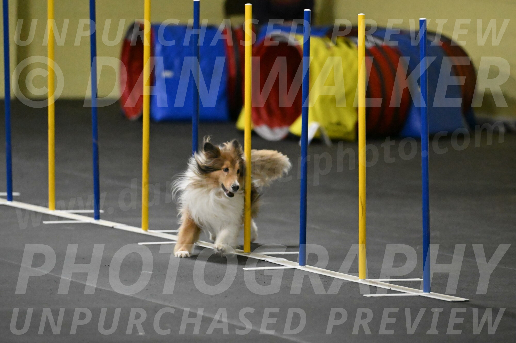 Bailey-Schmauder-01352