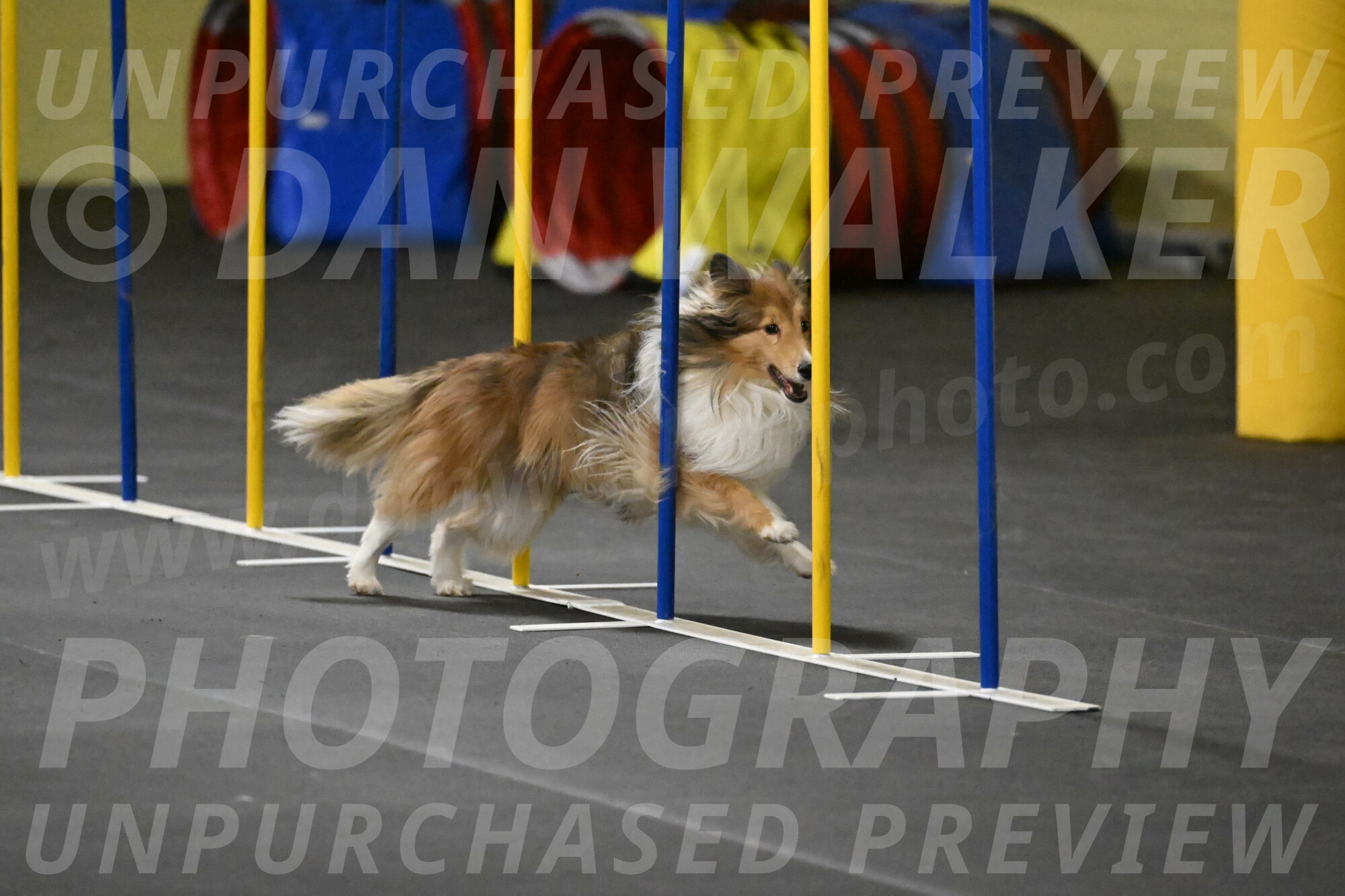 Bailey-Schmauder-01355