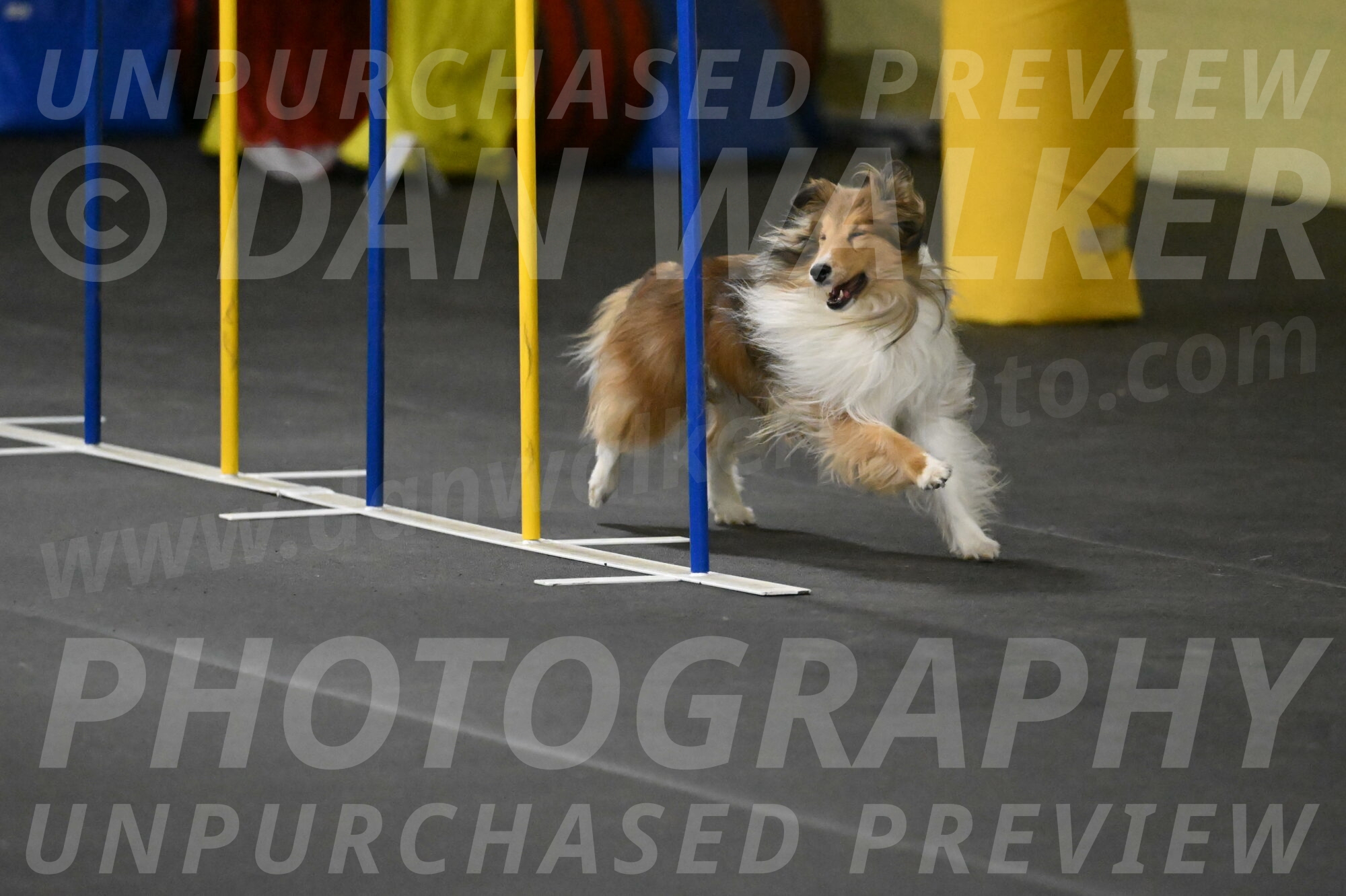 Bailey-Schmauder-01360