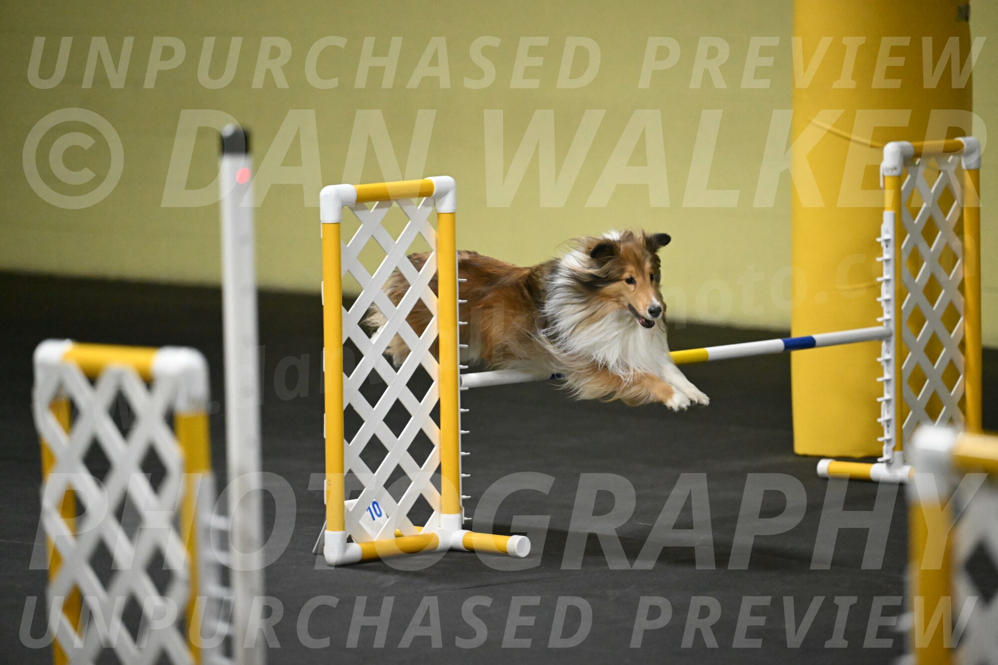 Bailey-Schmauder-01371