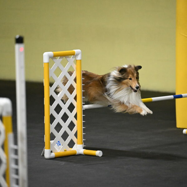 Bailey-Schmauder-01371