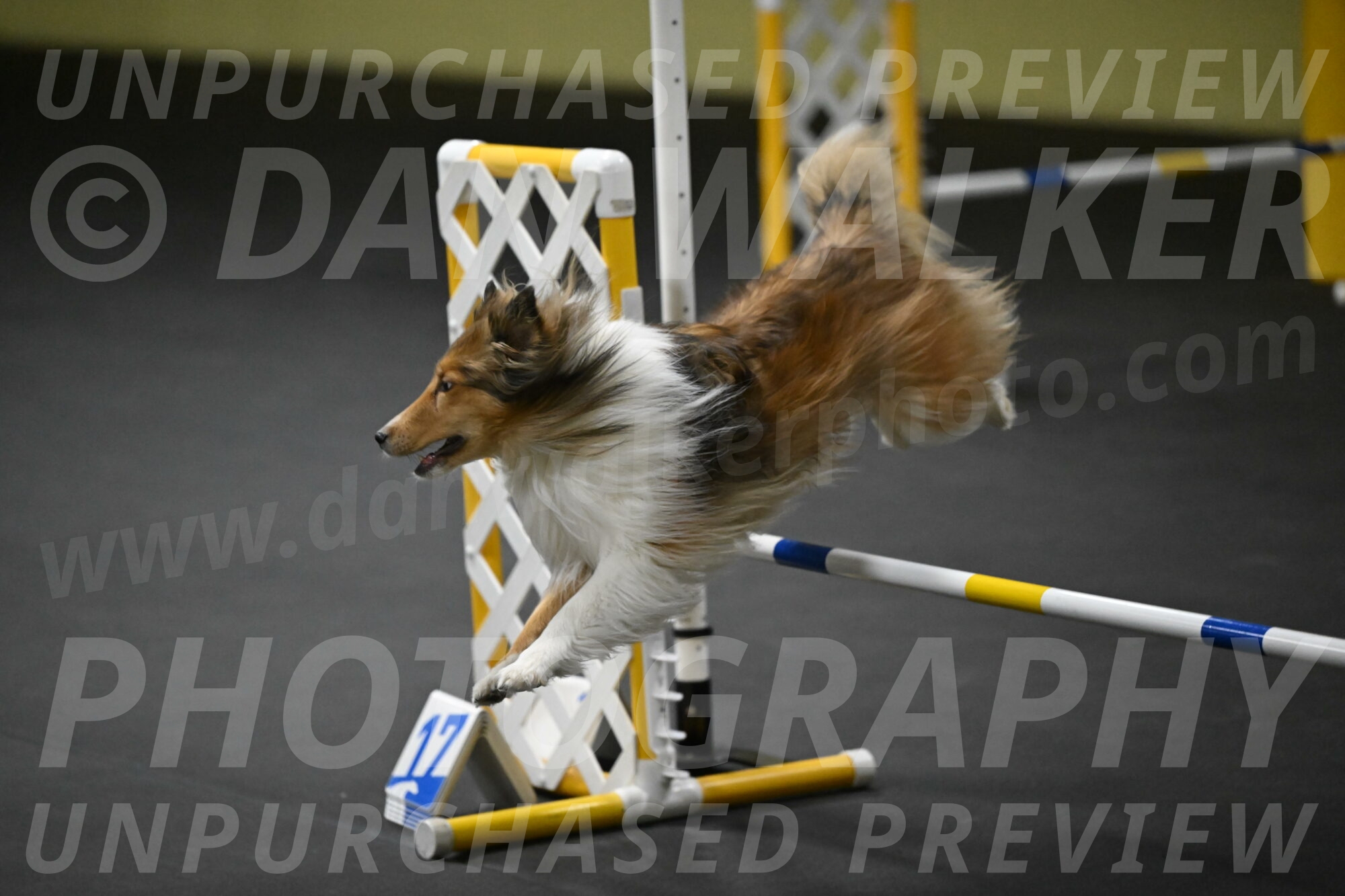 Bailey-Schmauder-01377