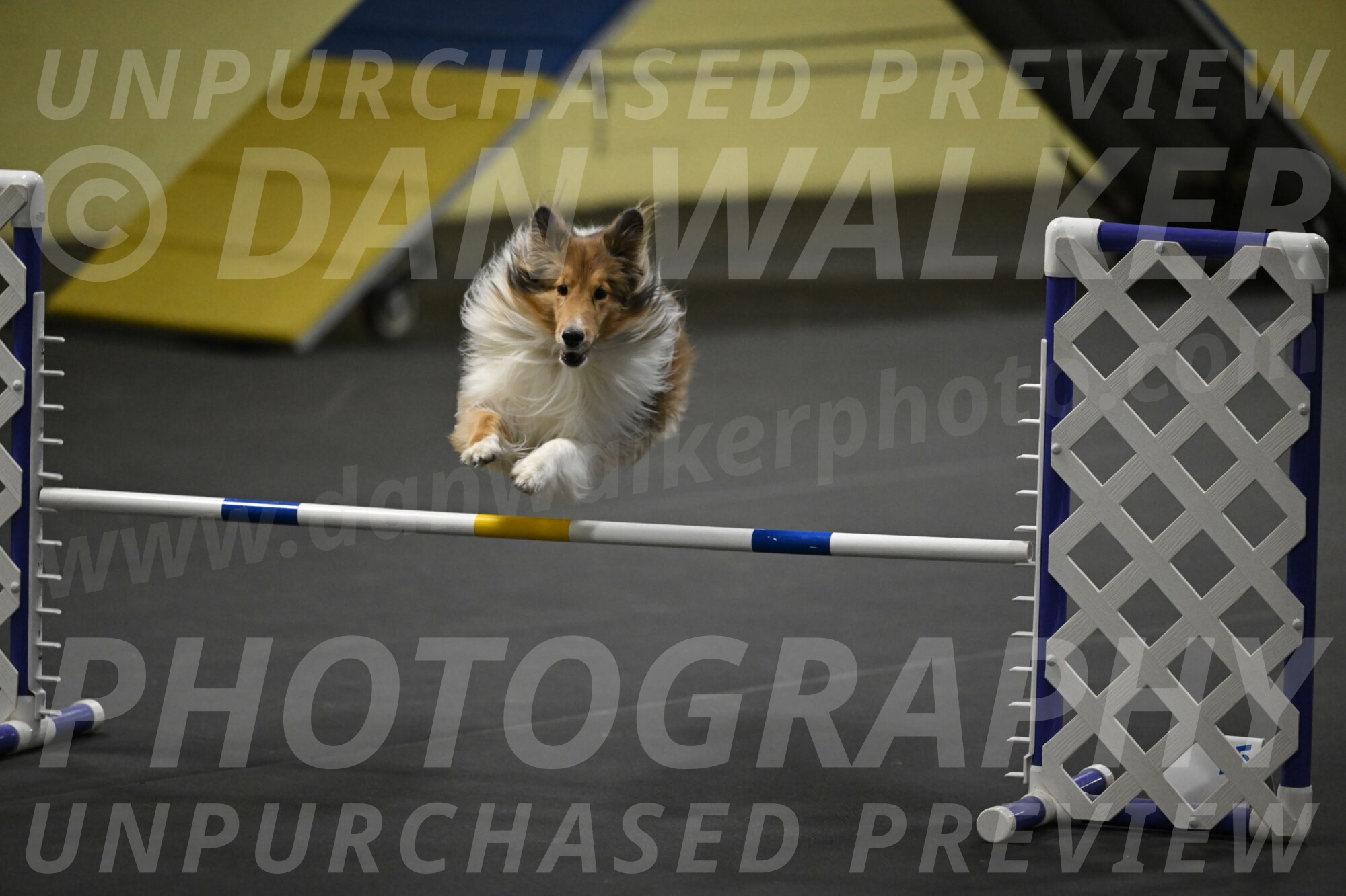 Bailey-Schmauder-01381