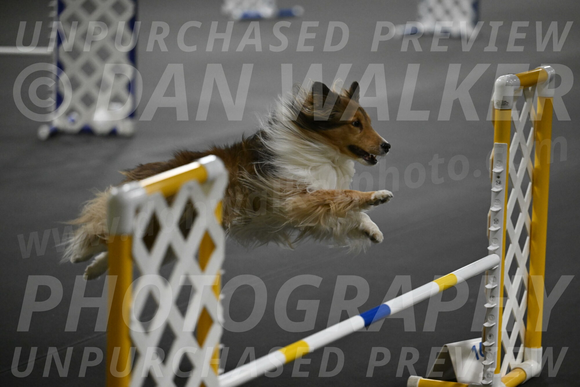 Bailey-Schmauder-01383