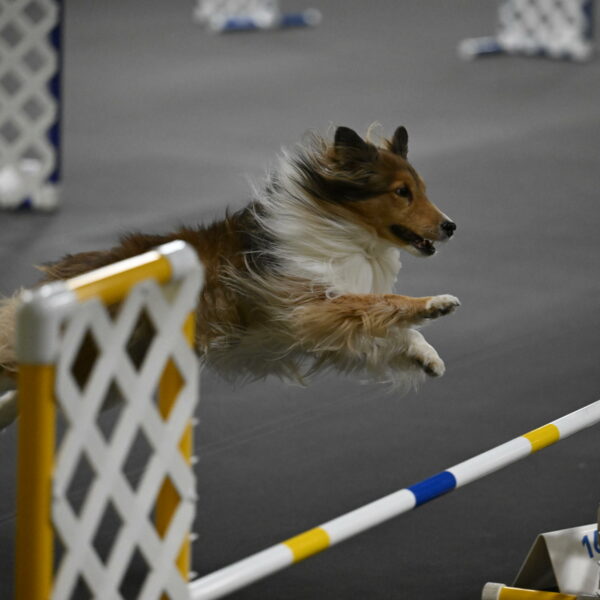 Bailey-Schmauder-01383