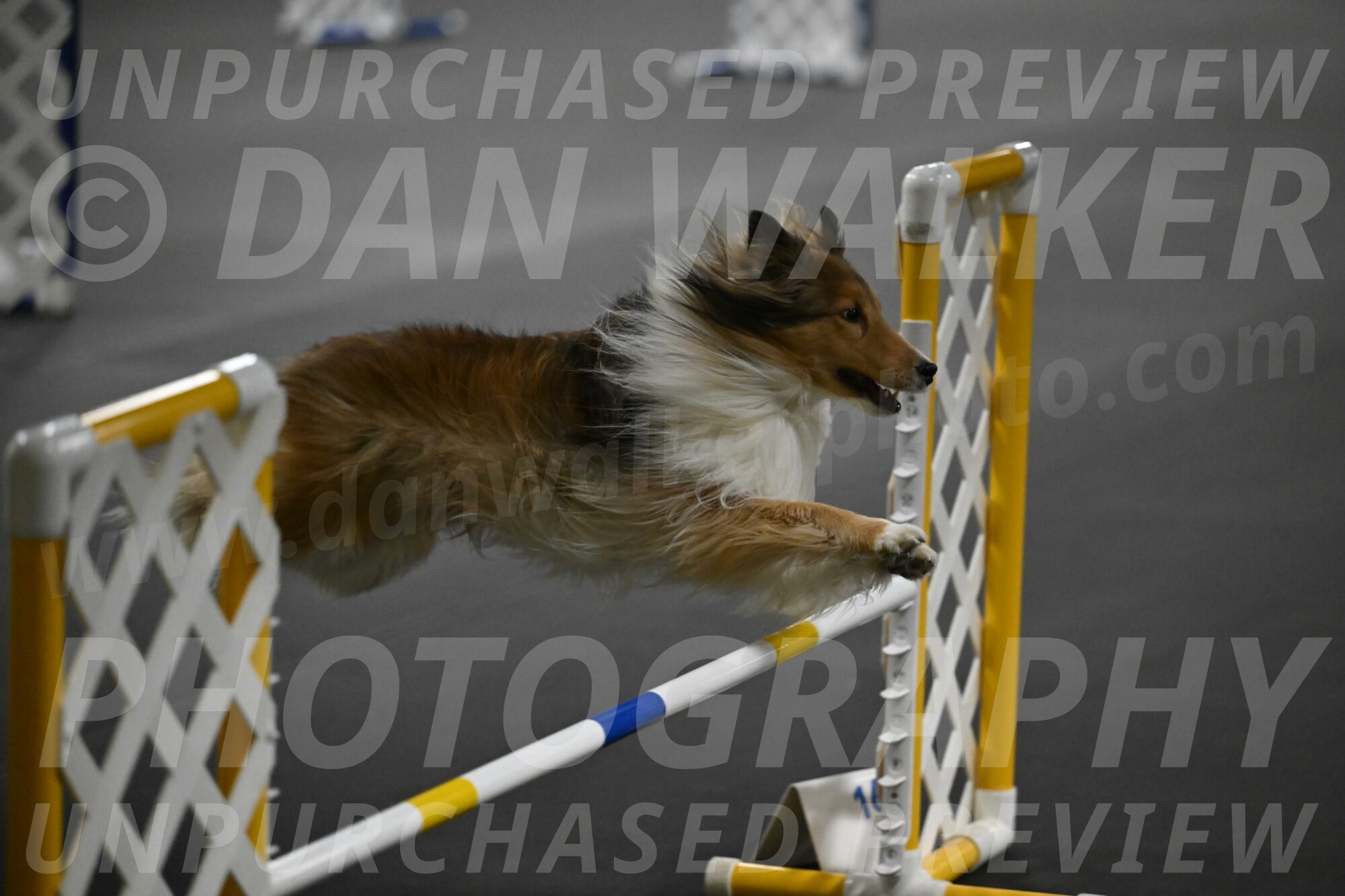 Bailey-Schmauder-01384