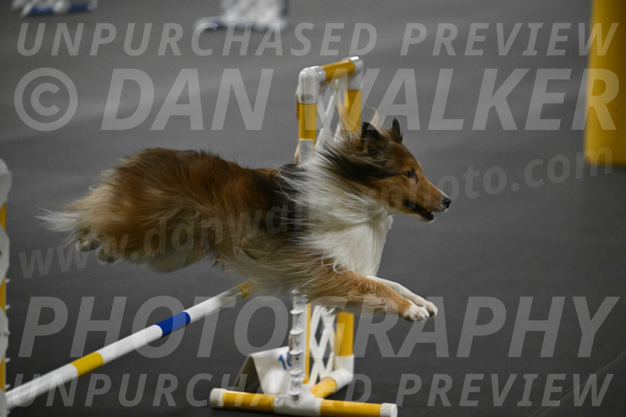 Bailey-Schmauder-01385