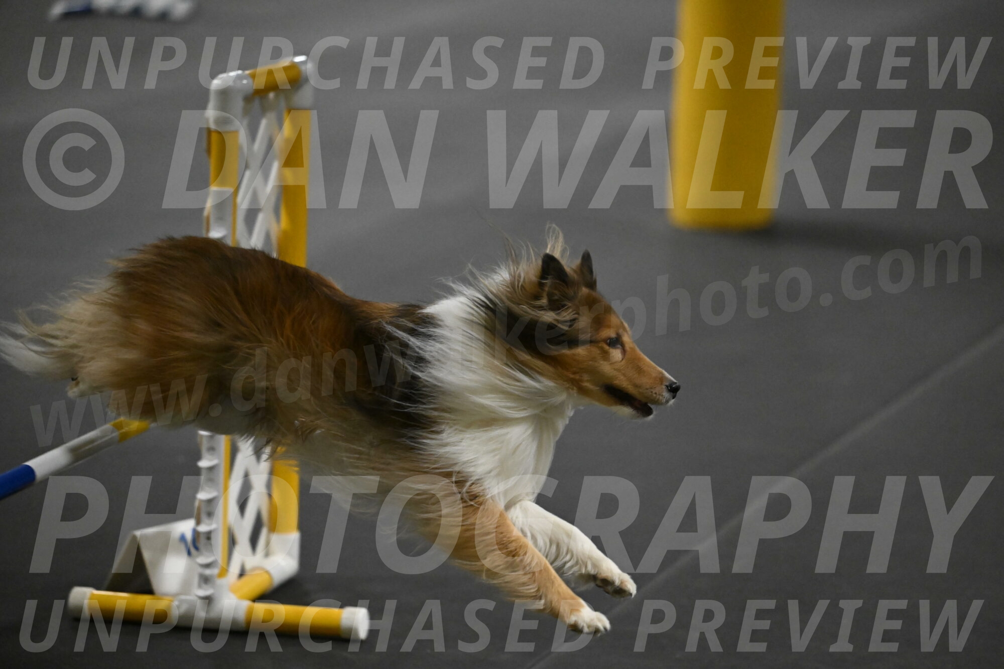 Bailey-Schmauder-01386