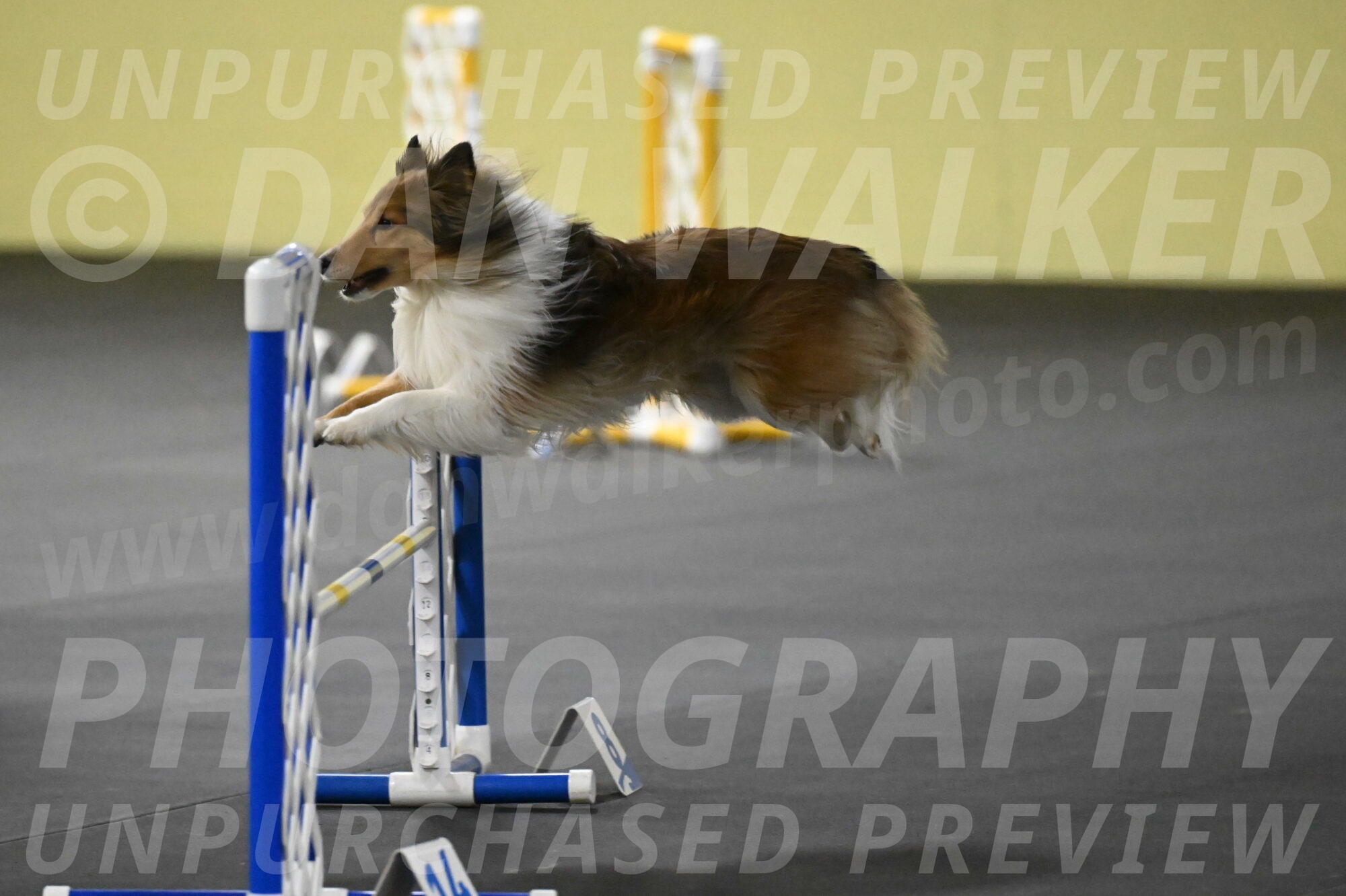 Bailey-Schmauder-01388