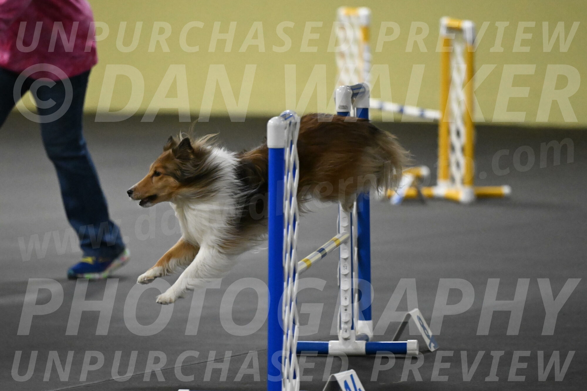 Bailey-Schmauder-01390