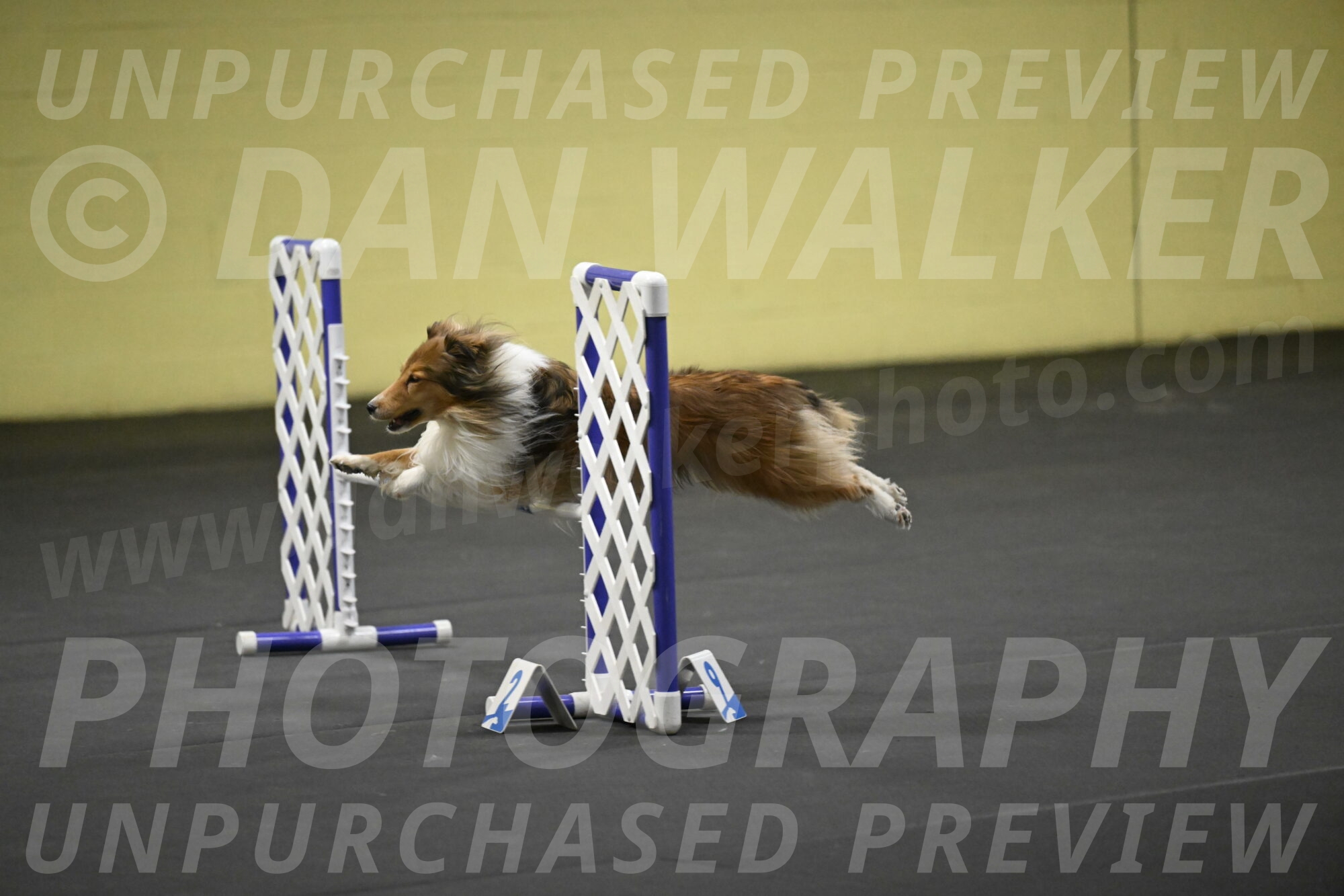 Bailey-Schmauder-01391