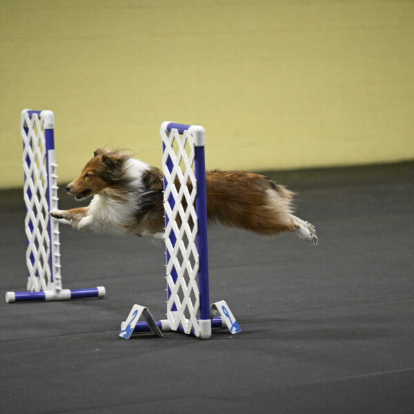 Bailey-Schmauder-01391