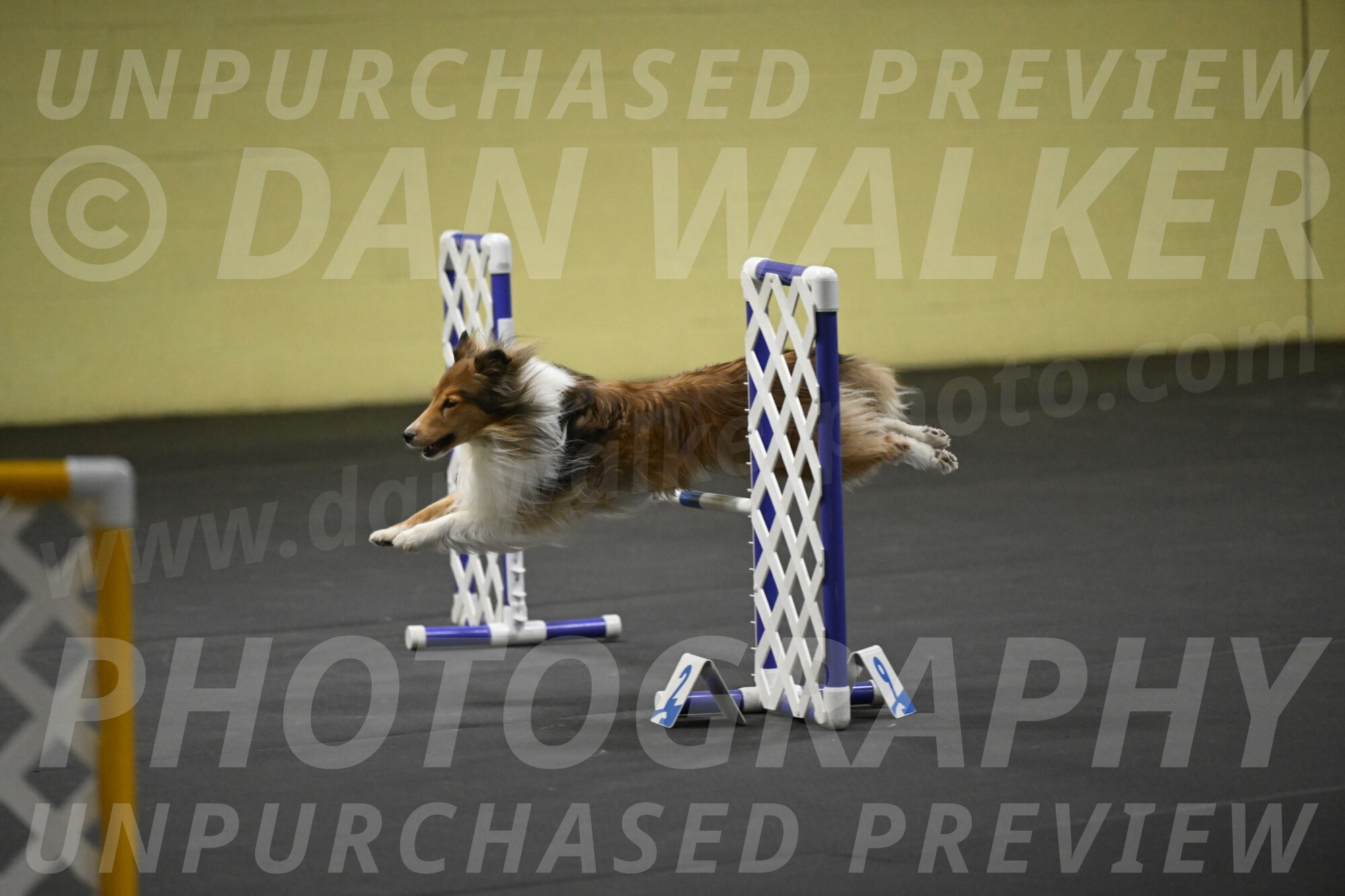 Bailey-Schmauder-01392