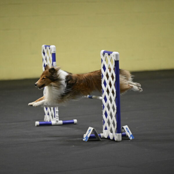 Bailey-Schmauder-01392