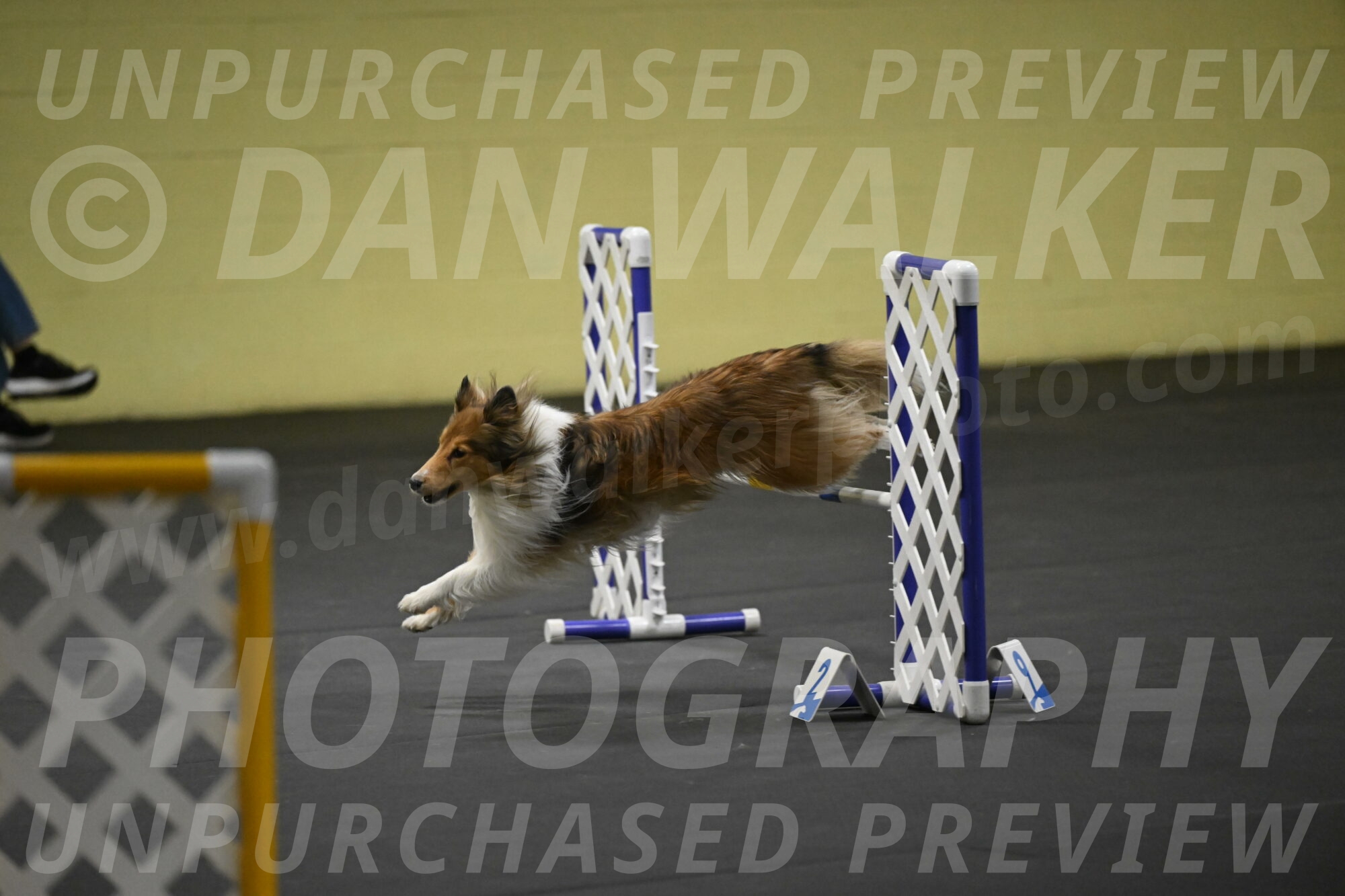 Bailey-Schmauder-01393