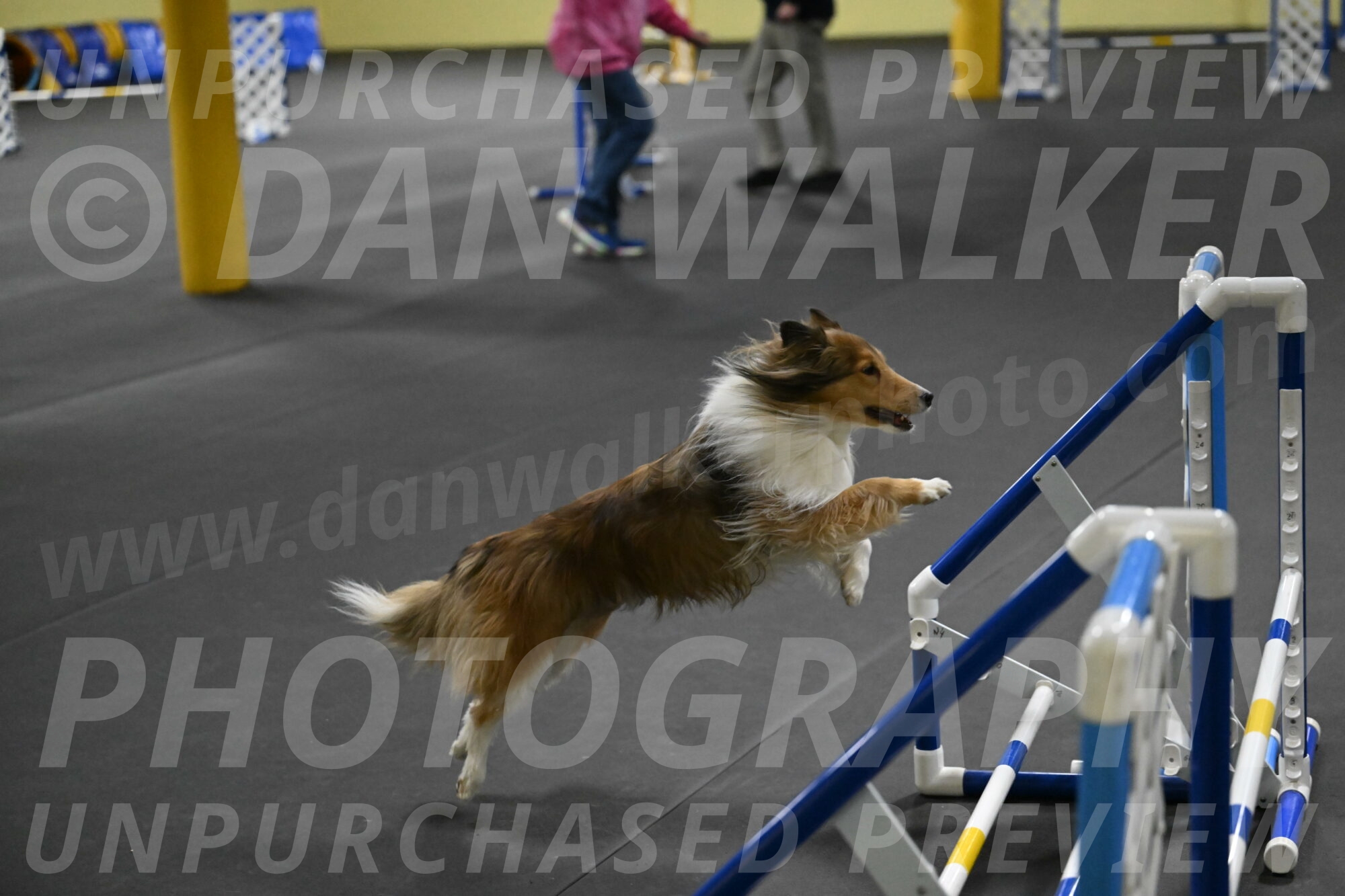 Bailey-Schmauder-01403