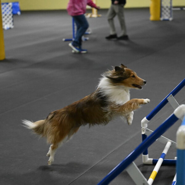 Bailey-Schmauder-01403