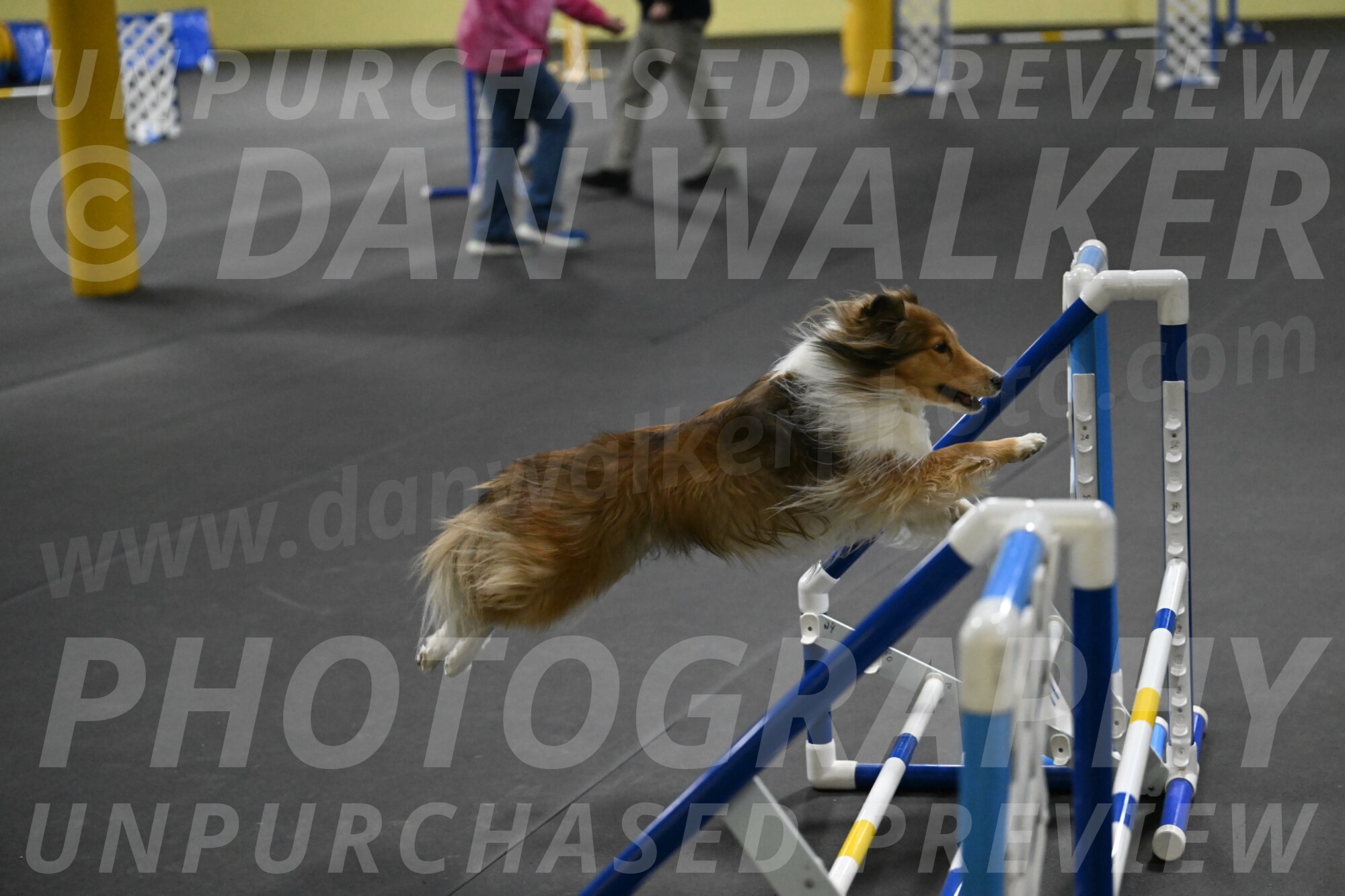 Bailey-Schmauder-01404