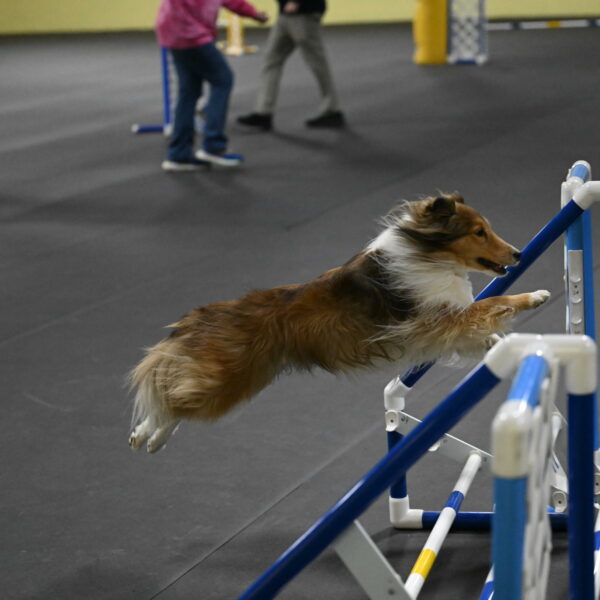 Bailey-Schmauder-01404