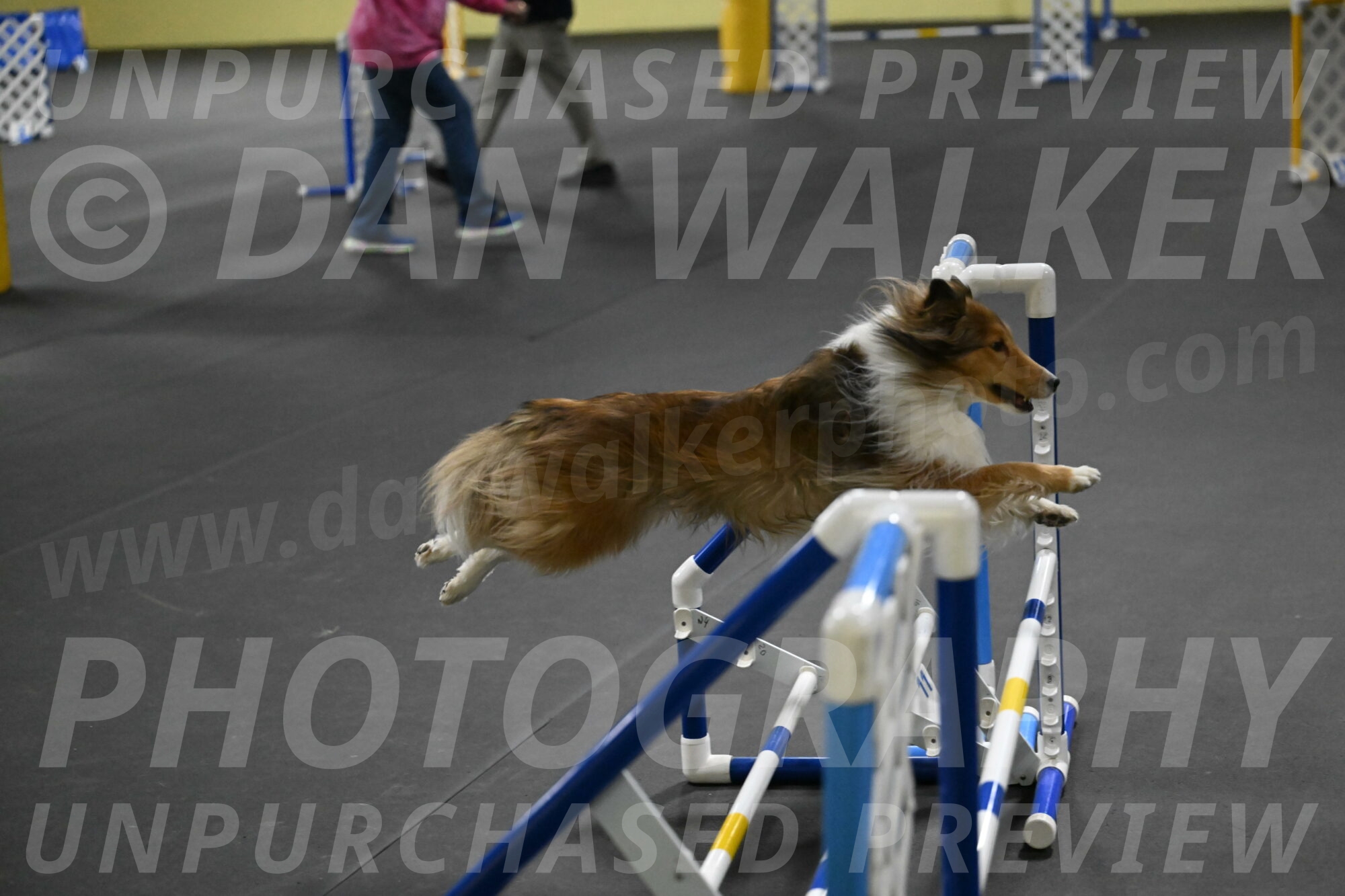 Bailey-Schmauder-01405