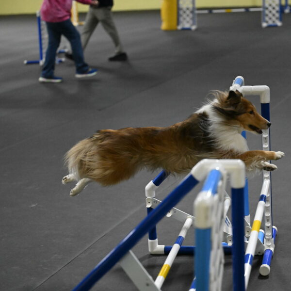 Bailey-Schmauder-01405