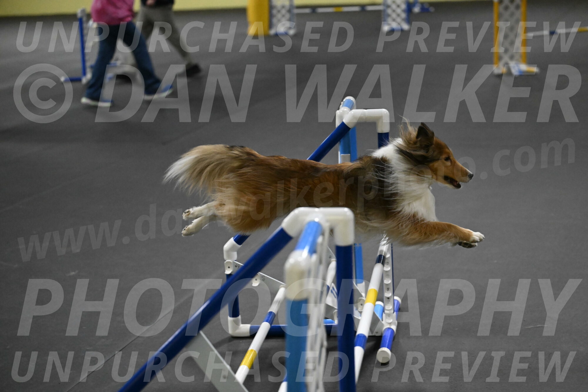 Bailey-Schmauder-01406