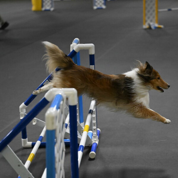 Bailey-Schmauder-01407