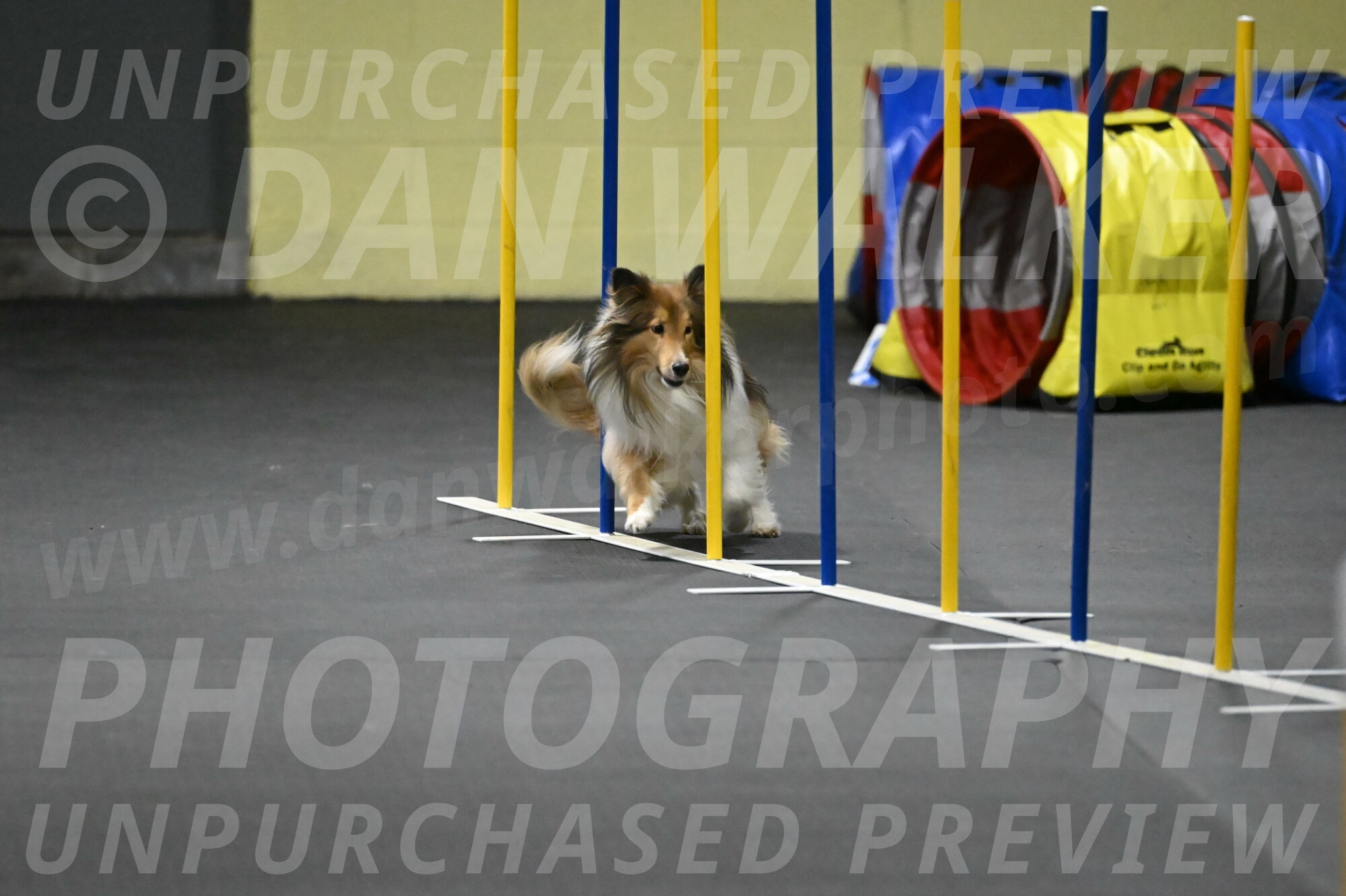 Bailey-Schmauder-01409