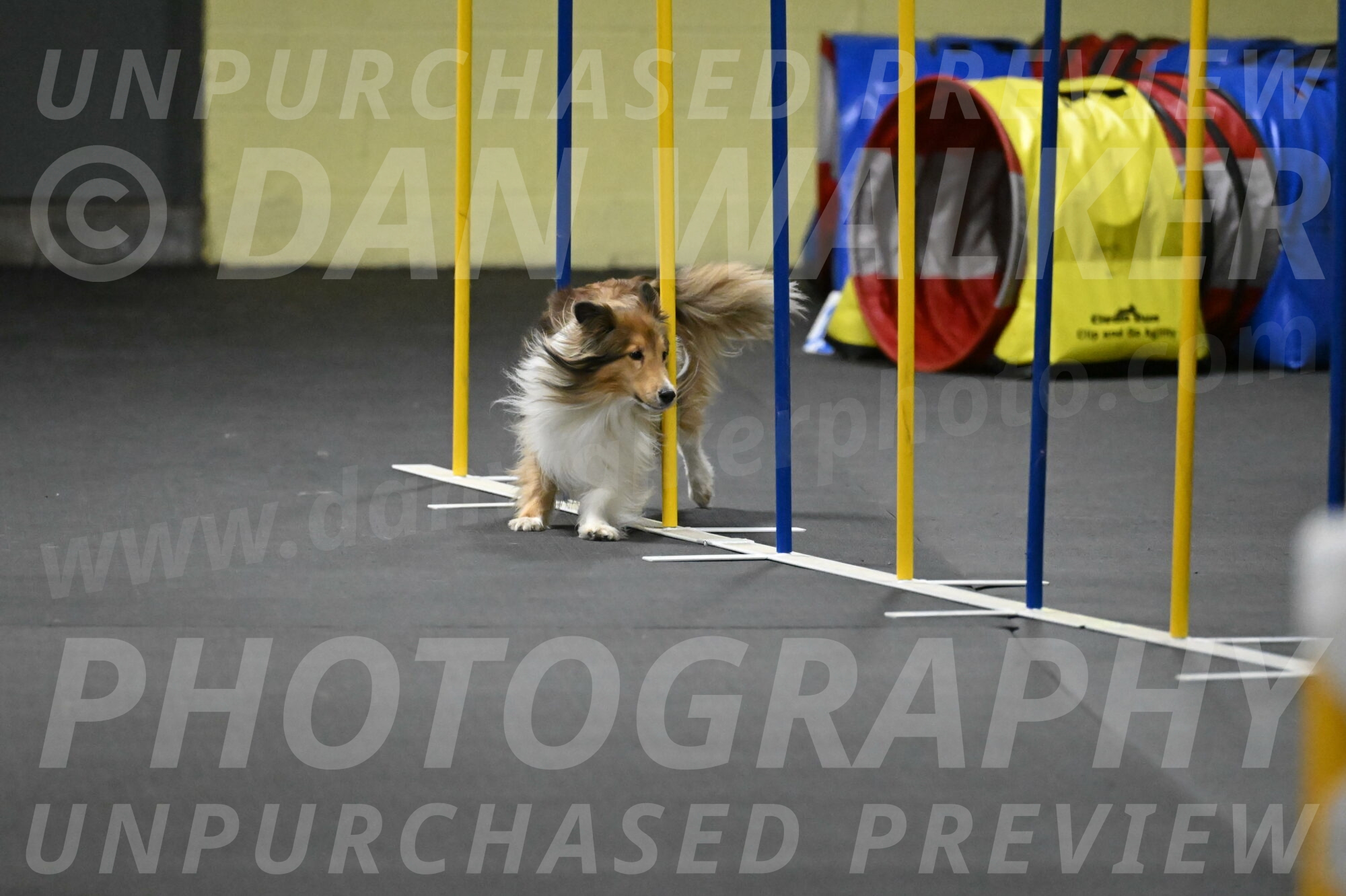 Bailey-Schmauder-01410