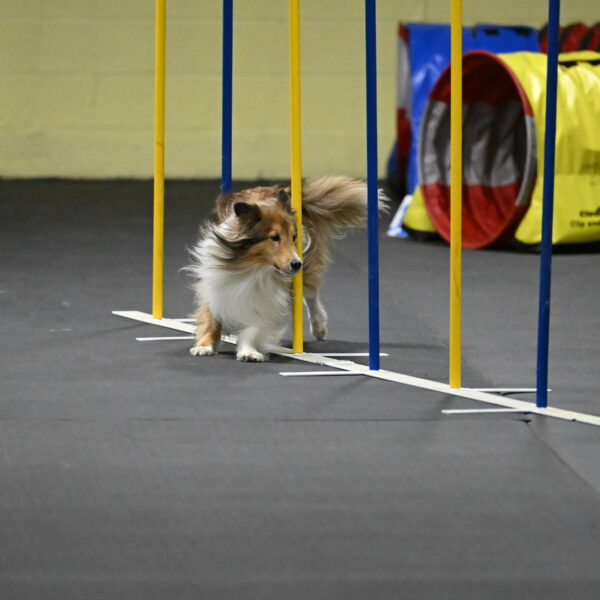 Bailey-Schmauder-01410