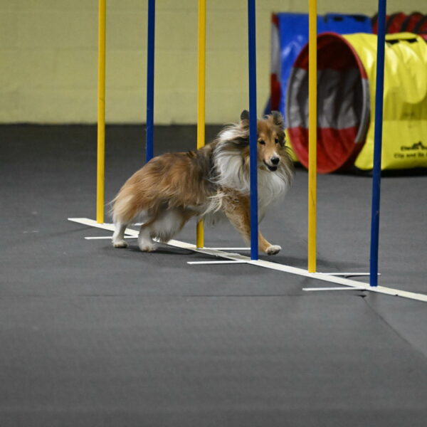 Bailey-Schmauder-01413