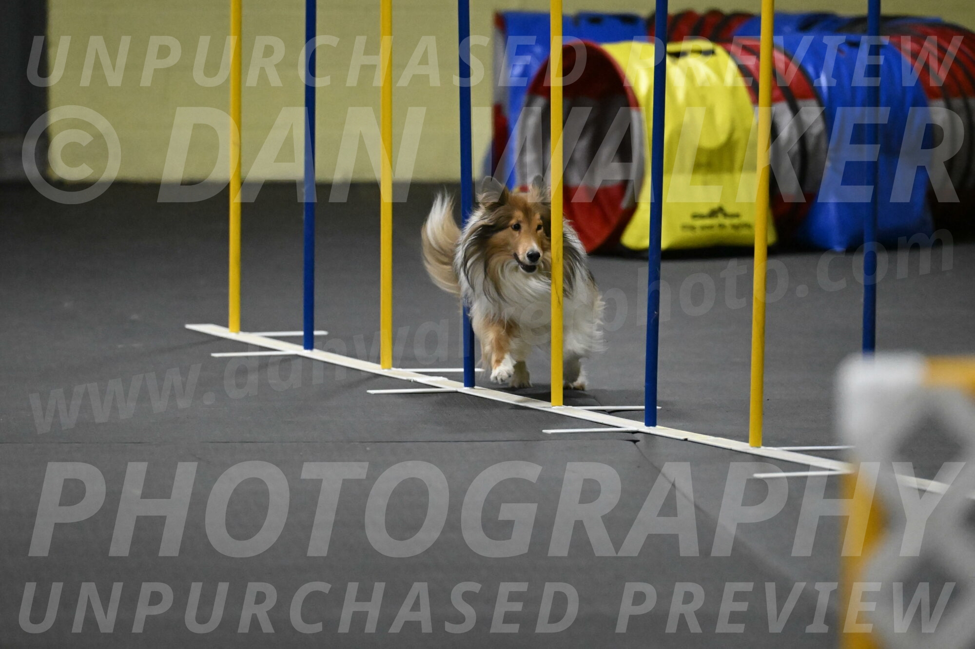 Bailey-Schmauder-01417