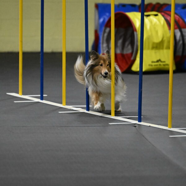 Bailey-Schmauder-01417