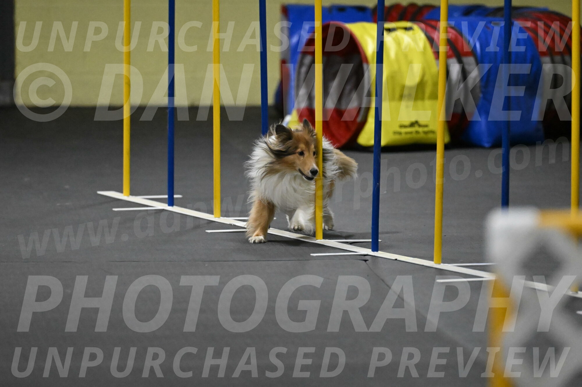 Bailey-Schmauder-01418