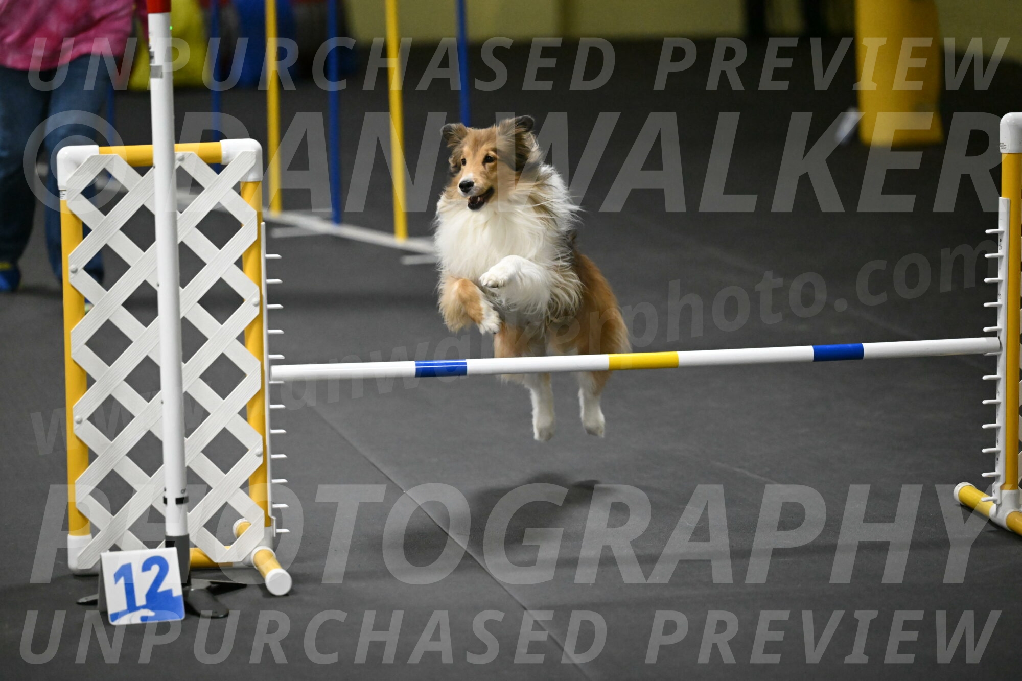 Bailey-Schmauder-01432