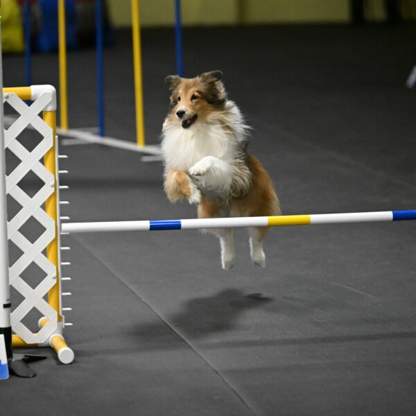 Bailey-Schmauder-01432