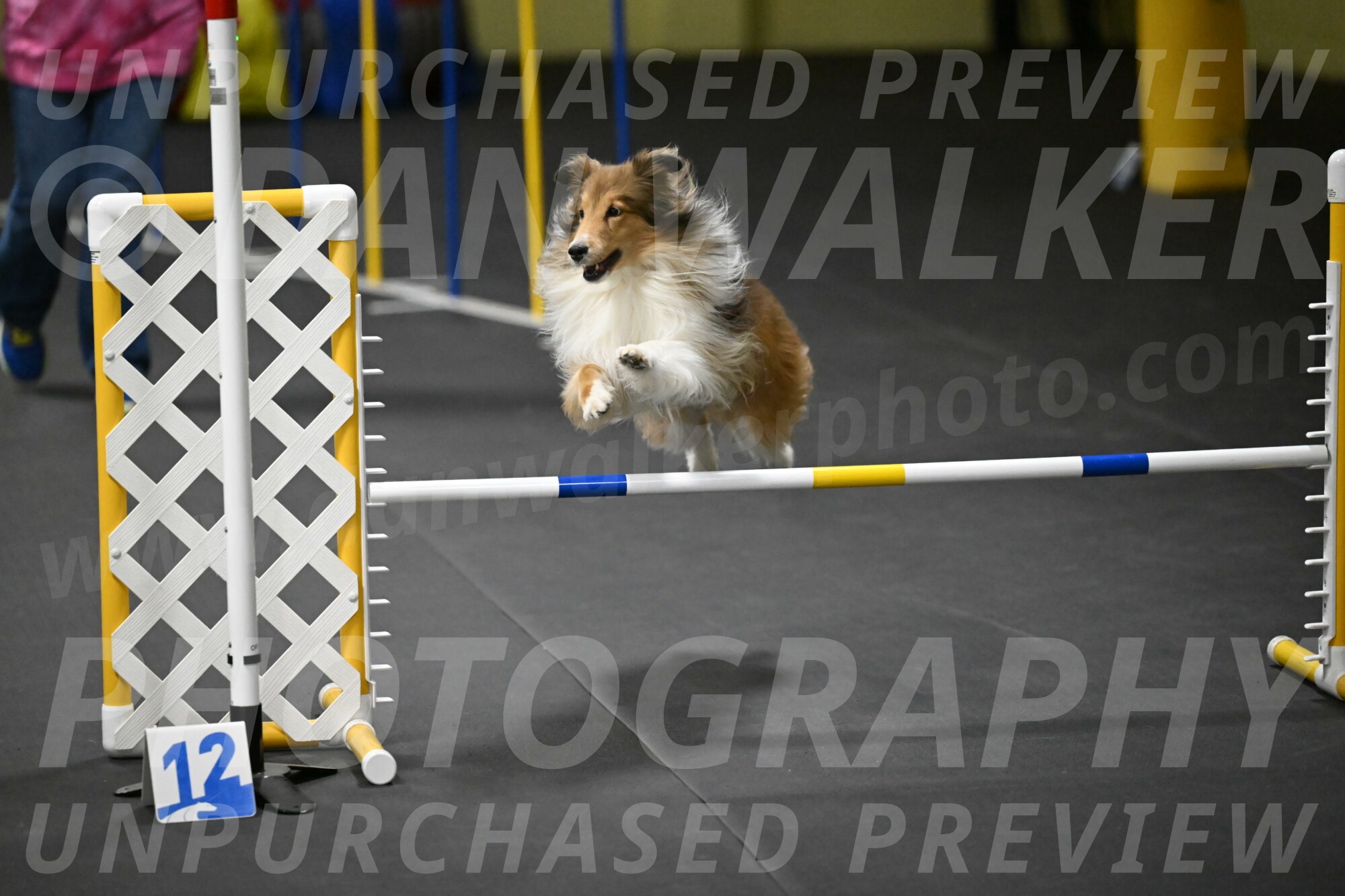 Bailey-Schmauder-01433