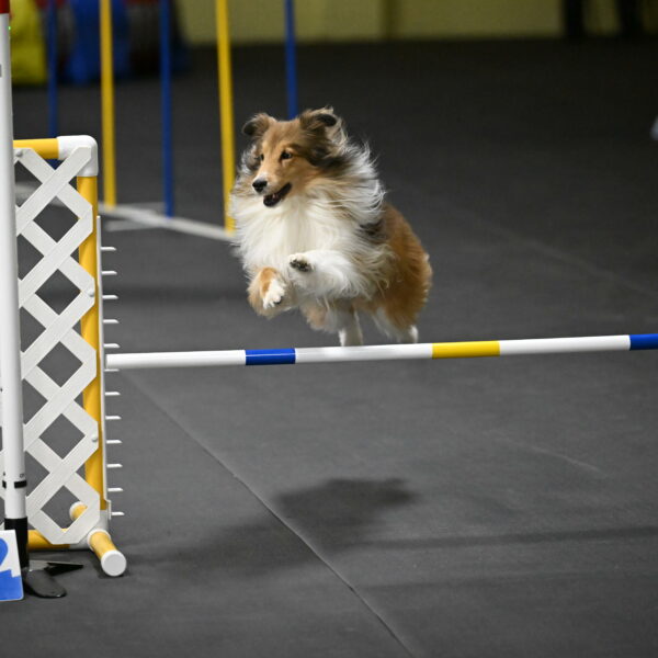 Bailey-Schmauder-01433