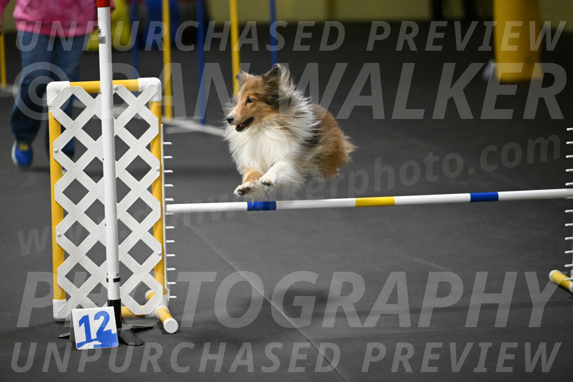 Bailey-Schmauder-01434