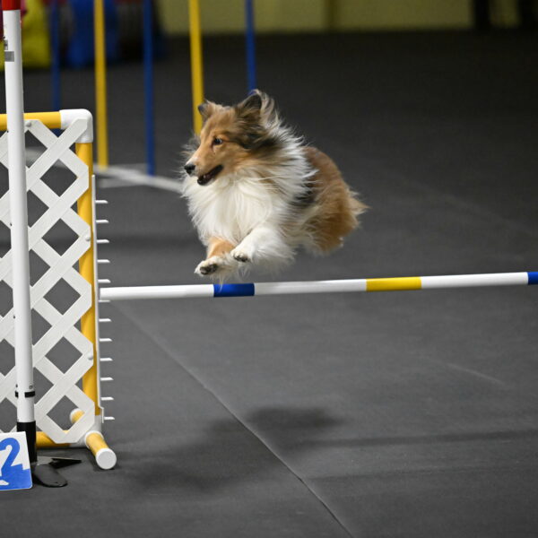 Bailey-Schmauder-01434