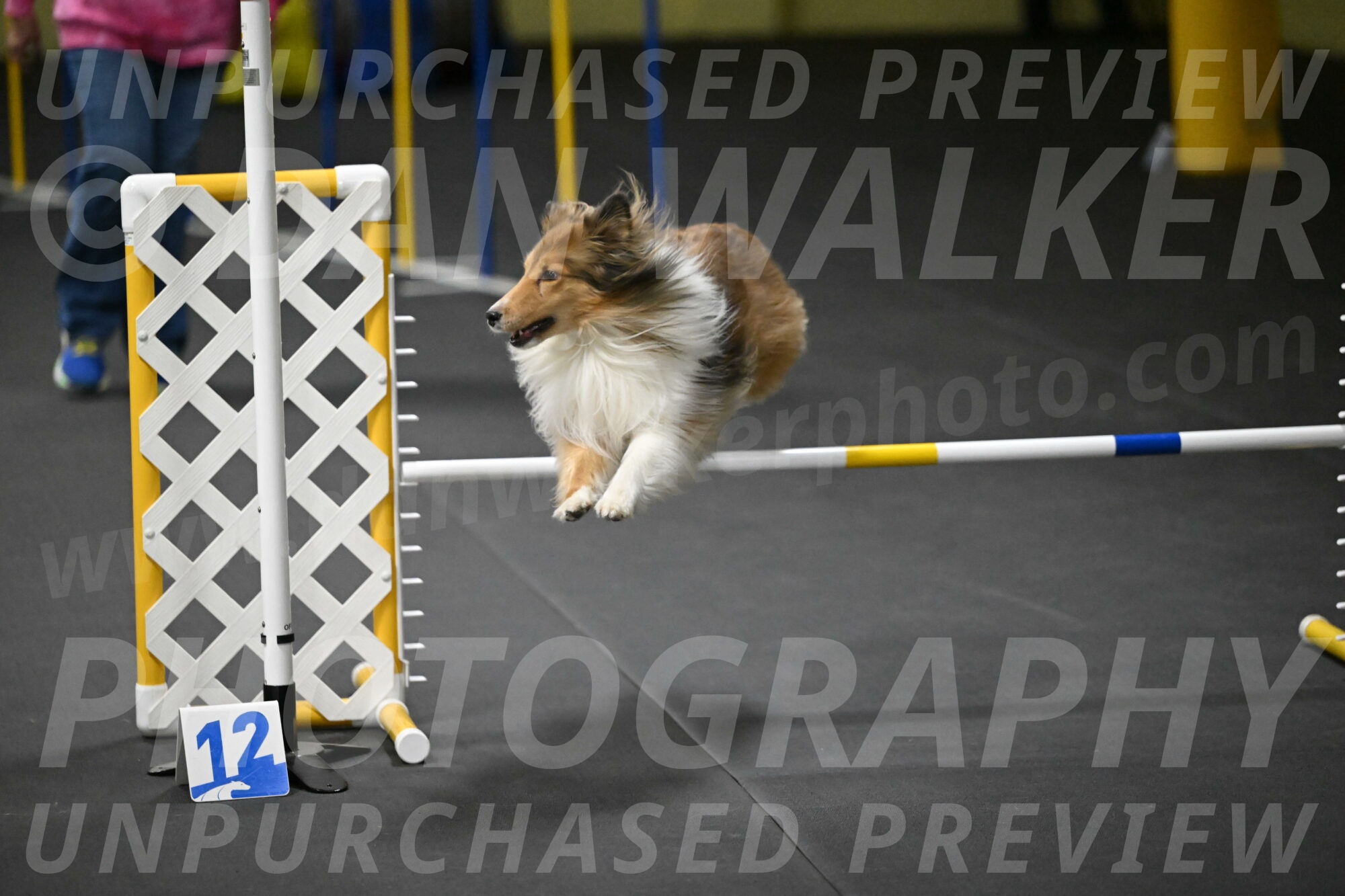 Bailey-Schmauder-01435