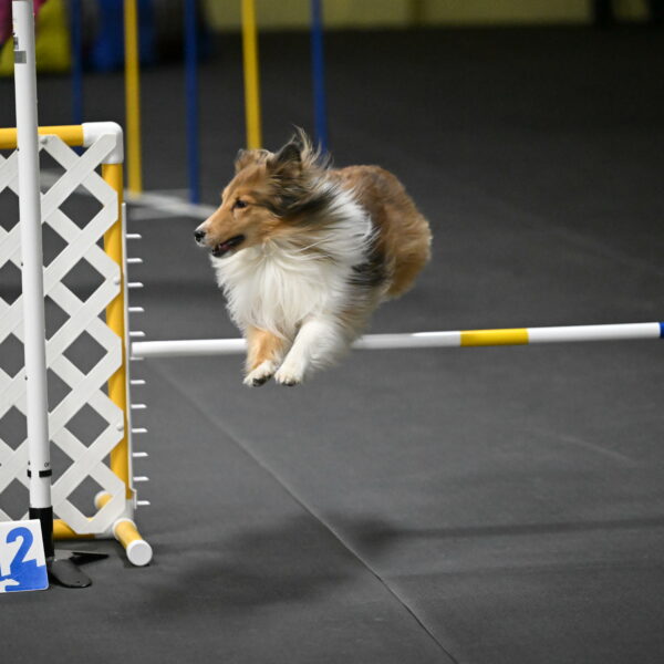 Bailey-Schmauder-01435