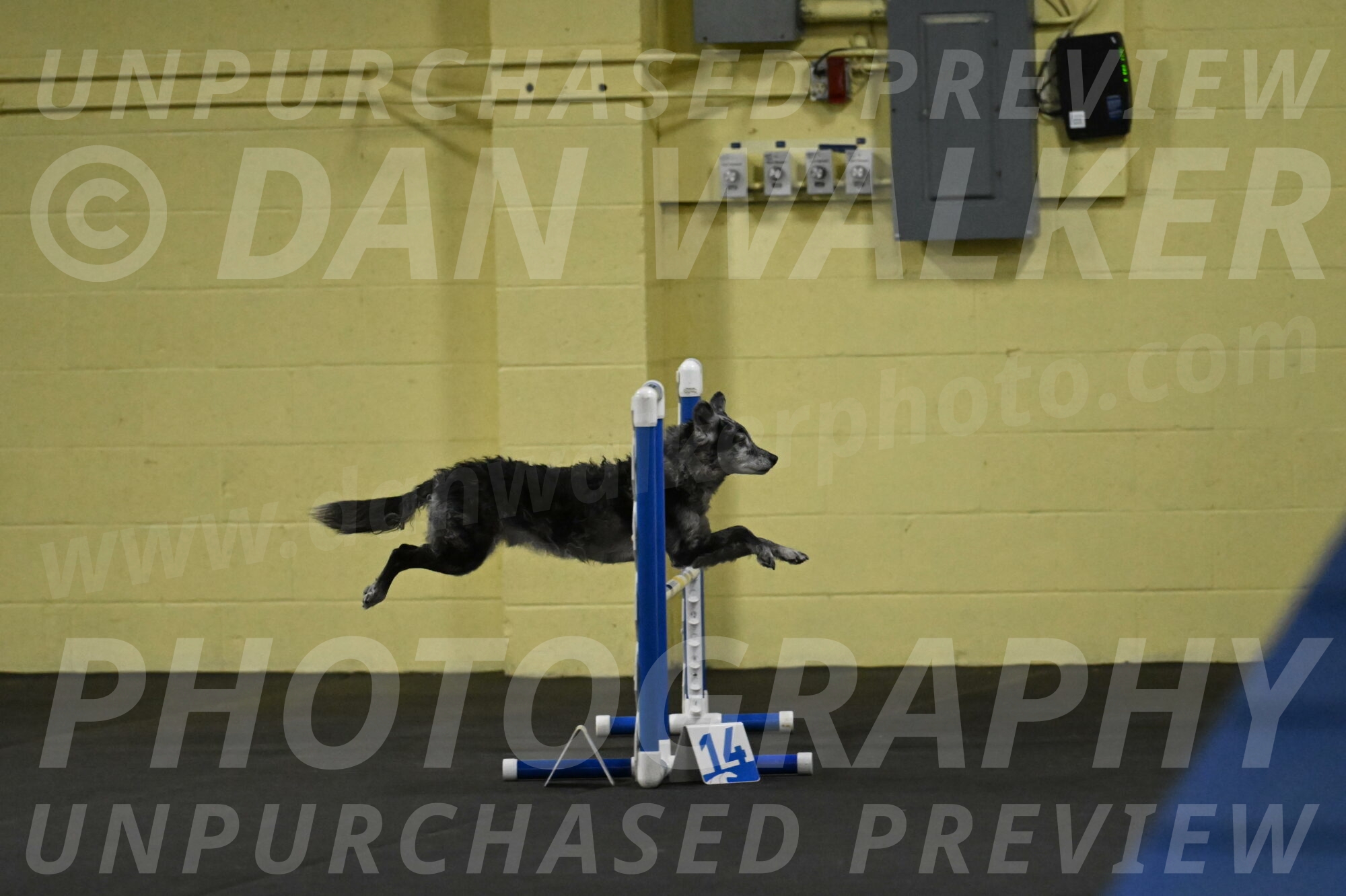 Bruce-Belebczuk-02234