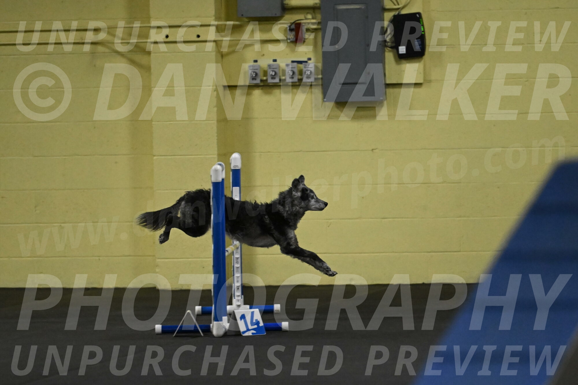 Bruce-Belebczuk-02235