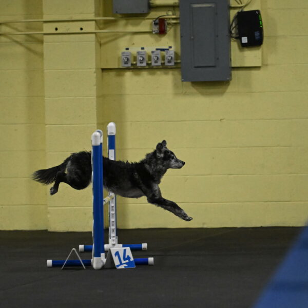 Bruce-Belebczuk-02235