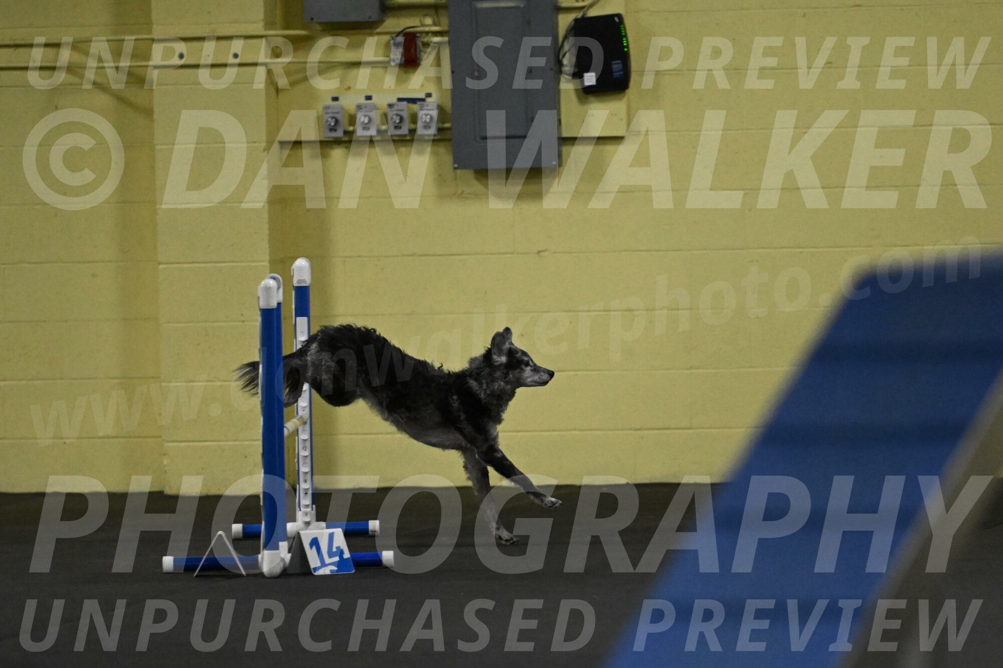 Bruce-Belebczuk-02236