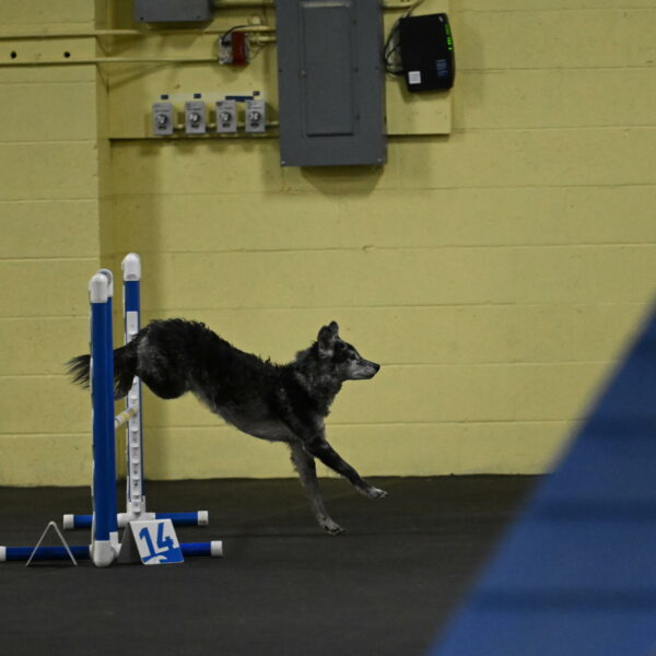 Bruce-Belebczuk-02236