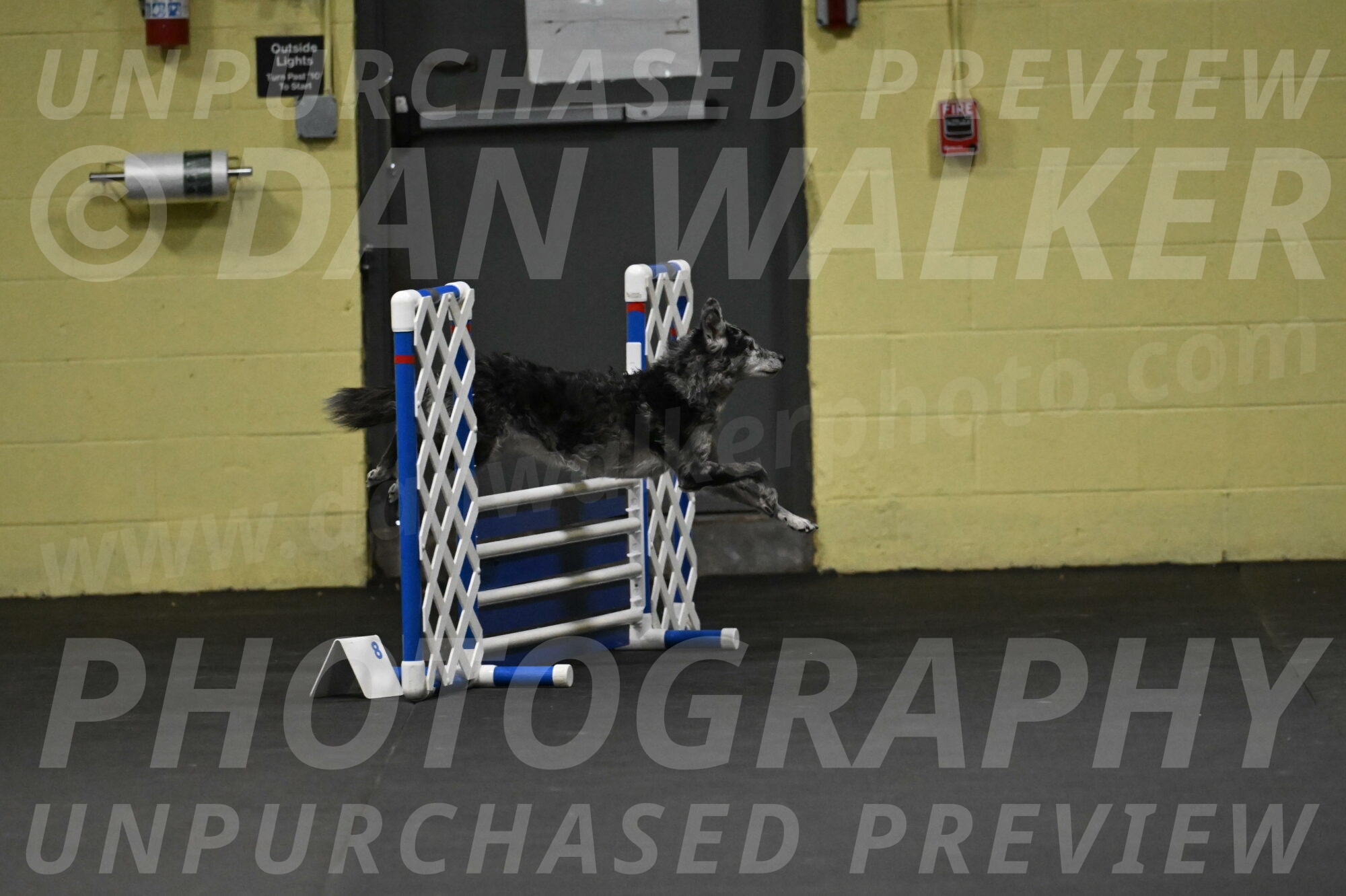 Bruce-Belebczuk-02238